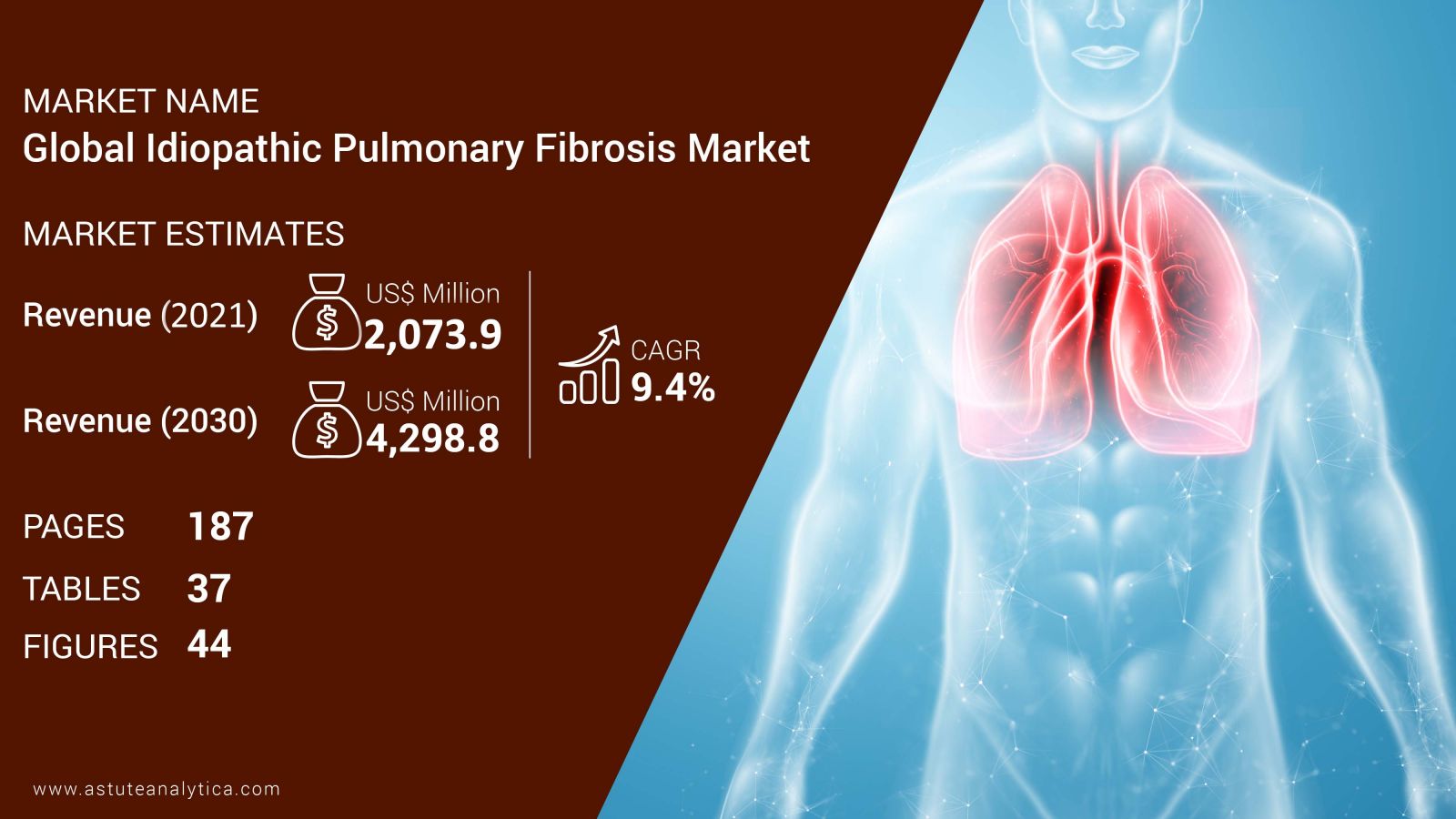 Idiopathic-Pulmonary-Fibrosis-Market-scope