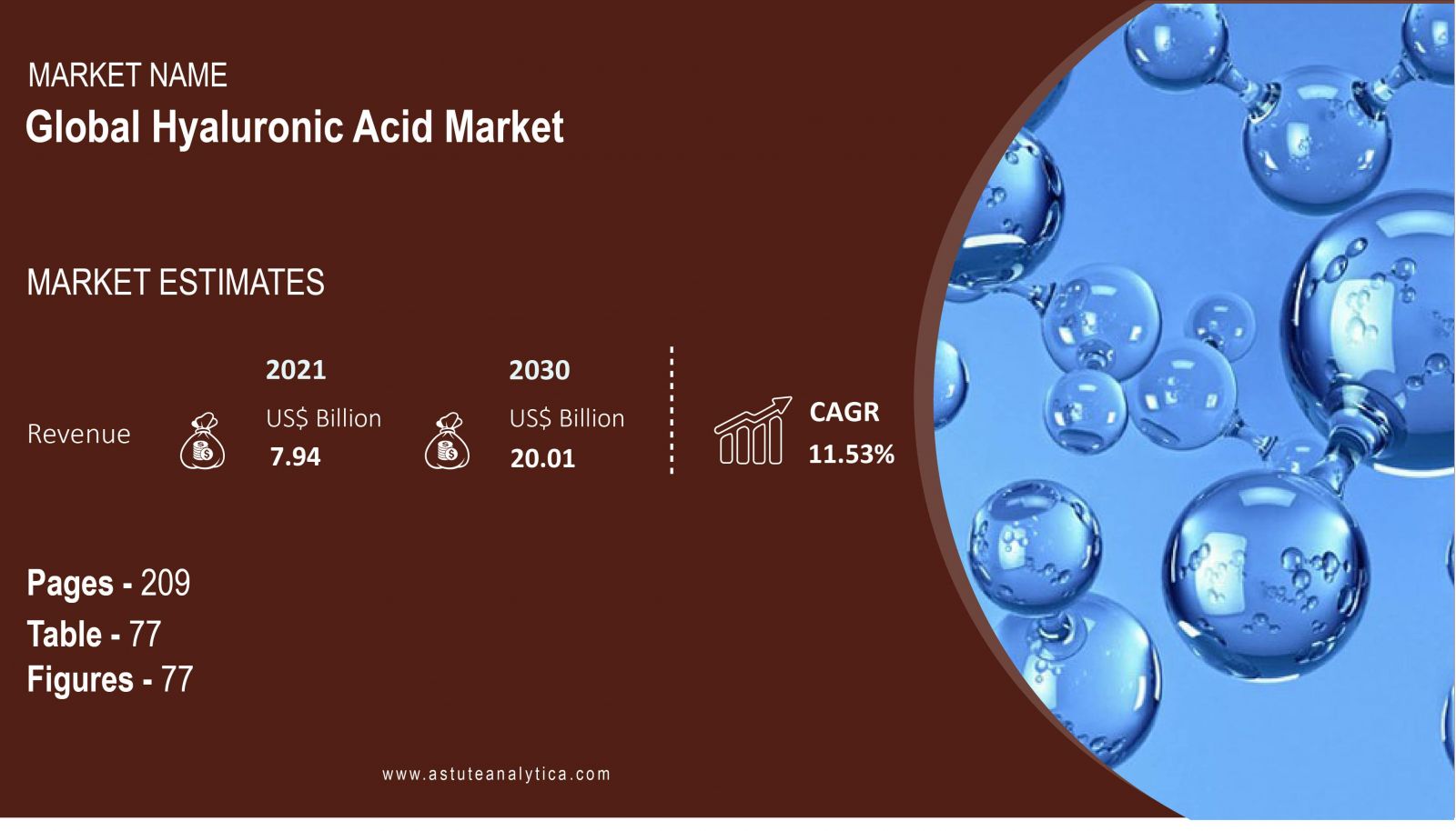 Hyaluronic-Acid-Market-scope