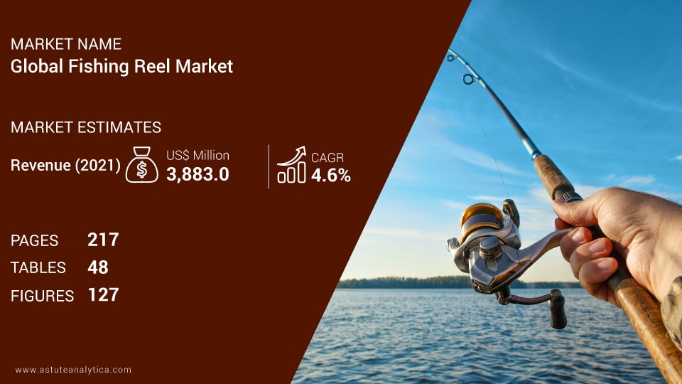 Fishing Reels Market Scope